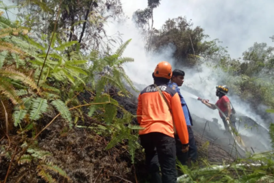 Karhutla di Sumbar Meluas, Lebih 500 Hektar Hutan Terdampak